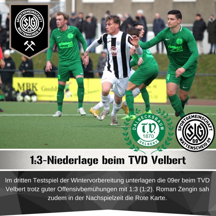 Testspiel - SG Wattenscheid - TVD Velbert